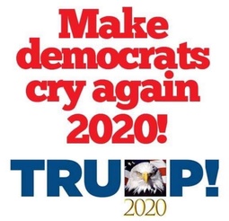 thumbnail of trump-2020-dem-cry.jpg