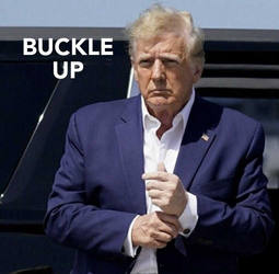 thumbnail of buckle up 6523c04c62e491d2.png