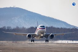 thumbnail of оак1.jpg