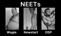 thumbnail of neet-tiers.png