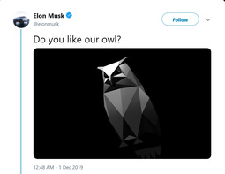 thumbnail of Elon Musk owl.jpg