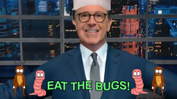 thumbnail of You Will Eat The Bugs.mp4