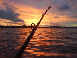 thumbnail of sunset-fish.jpg