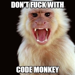 thumbnail of code monkey.jpg