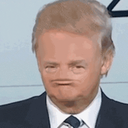 thumbnail of trump run .GIF