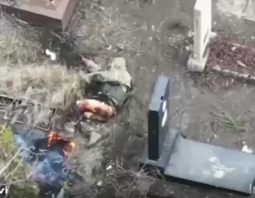 thumbnail of 41235434.mp4