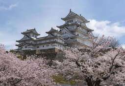 thumbnail of himeji-castles-in-japan-1000x687-1-1000x687-1-1000x687.jpeg