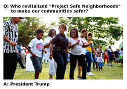 thumbnail of SafeAgain7-TrumpSuccess.jpg
