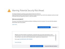 thumbnail of 2023-09-04 23_13_18-Warning_ Potential Security Risk Ahead — Tor Browser.jpg