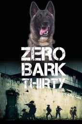 thumbnail of zero bark thirty.jpeg