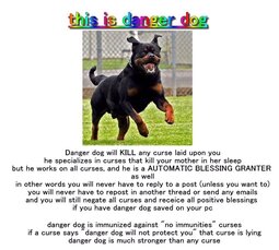 thumbnail of danger dog.jpg