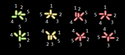 thumbnail of configurations.png