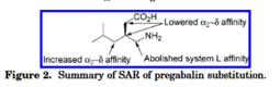 thumbnail of Screenshot 2024-12-06 at 14-17-15 StructureActivity Relationships of Pregabalin and Analogues That Target the sub 2 _sub - Protein - 7541_SAR_belliotti2005.pdf.png