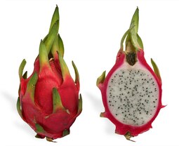 thumbnail of Pitaya_cross_section_ed2.jpg