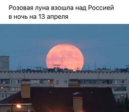 thumbnail of 6044195042463171891.jpg