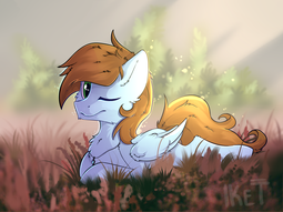 thumbnail of 1492592__artist+needed_safe_oc_oc+only_oc-colon-sorren_field_green+eyes_jewelry_laying+down_necklace_pegasus_pony_solo_sunlight_wings.png