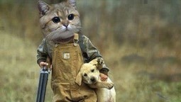 thumbnail of cat with dog.jpg