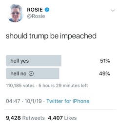 thumbnail of poll-flipping-contest-rosie.jpg