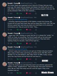 thumbnail of Trump twt 10072019 we are pulling out figure it out yourself logic kek.png