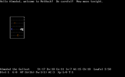 thumbnail of nethack_014.png