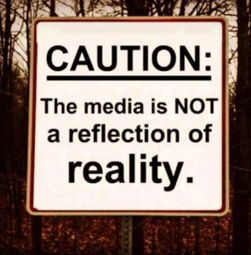 thumbnail of caution media not reflection of reality.PNG