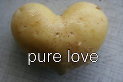 thumbnail of pure love potato.jpeg