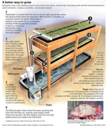 thumbnail of Aquaponics A better way to grow.png