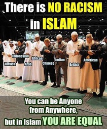 thumbnail of no-racism-in-islam.jpg