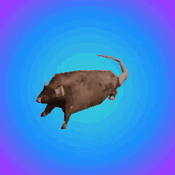 thumbnail of rat-spinning-rat.gif