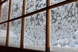 thumbnail of frosted-windows-15172490950wX.jpg