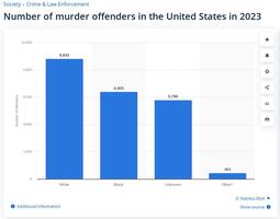 thumbnail of USA Murders 2023.jpg