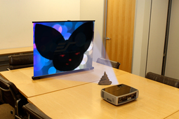 thumbnail of projecting.jpg