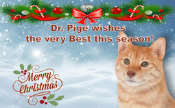 thumbnail of DrPige XMAS Card.jpg