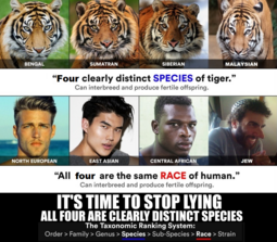 thumbnail of 58547323.png