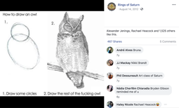 thumbnail of rings_of_saturn_owl.png