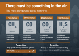 thumbnail of dangerousgases_infographic_v1-(1).png