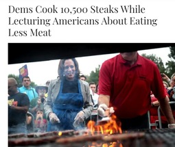 thumbnail of DEMO steak picnic others should eat less meat.jpg