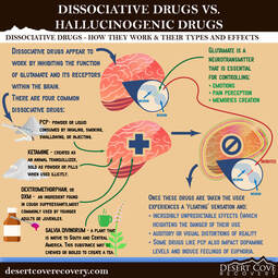 thumbnail of Dissociative-Drugs-vs.-Hallucinogenic-Drugs-2_final_72ppi.jpg