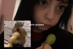 thumbnail of grapes.png