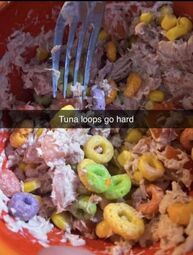 thumbnail of tuna loops.jpg