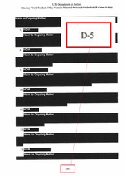 thumbnail of D5 on page.jpg
