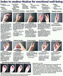 thumbnail of yoga hand poses.jpg