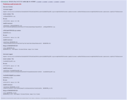 thumbnail of Preliminary audit torrents info.PNG