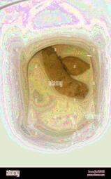 thumbnail of 1YqGzuooaXdGvf5cU.jpg
