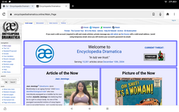thumbnail of Encyclopedia Dramatica's picture of the Now.png
