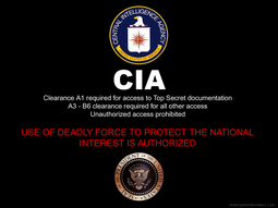 thumbnail of CIA.jpg