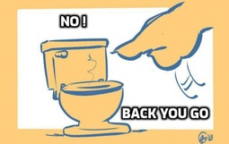 thumbnail of back you go toilet.jpg
