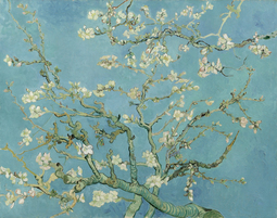 thumbnail of Vincent_van_Gogh_-_Almond_blossom.jpg