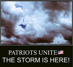 thumbnail of patriots-unite-storm-here.png