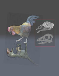 thumbnail of Changes-in-Dinosaur-Evolution-Led-to-the-Emergence-of-Birds-2.jpg